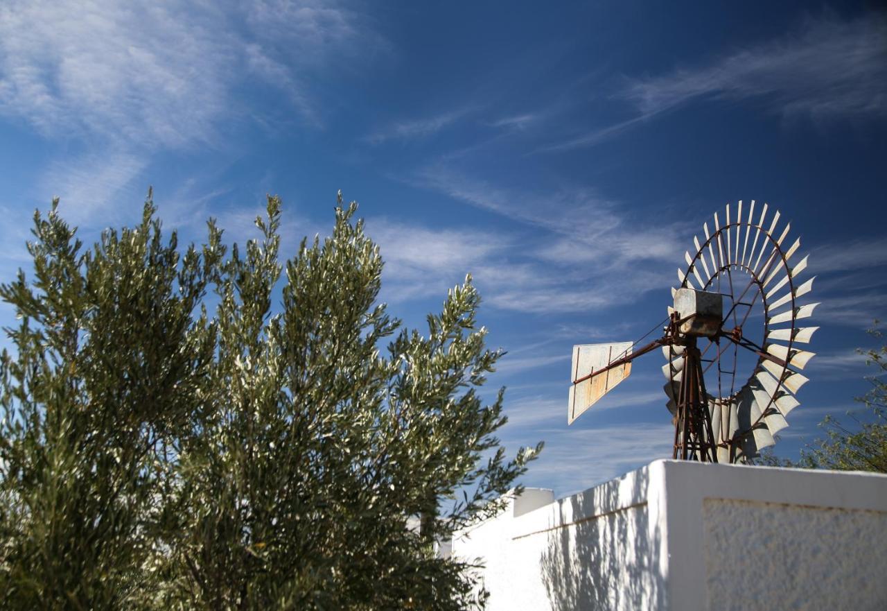 Dennehof Karoo Guesthouse Prince Albert Zewnętrze zdjęcie